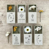 Mini Porcelain ,Dried flower matchbox-Thinking of you Friendship Gift, Matchbox Birthday Gift, Home Gift, Mother's Day Present